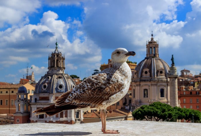 Rome City Center Itinerary – What to See and Do