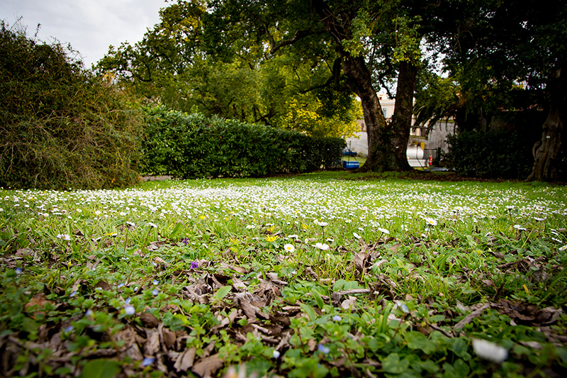 Rome in March – Weather, Holidays & Things To Do