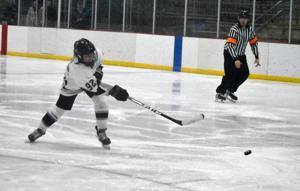 Exceptional depth raises expectations for Cap City Cougars