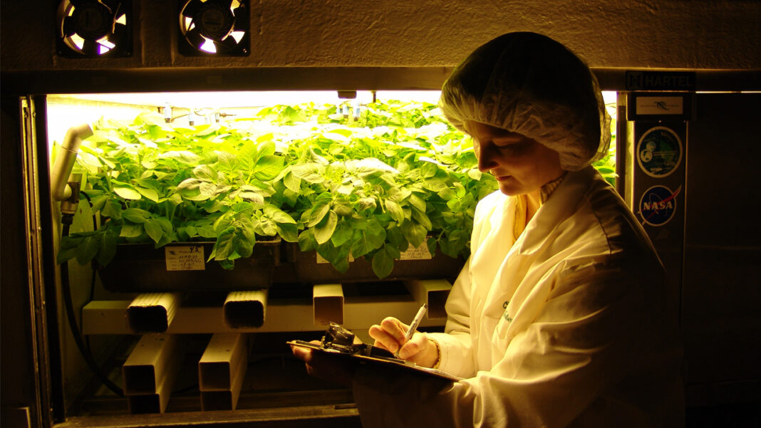 🔒 PlantPharm BioMed awarded federal grant to develop edible COVID-19 vaccine for animals