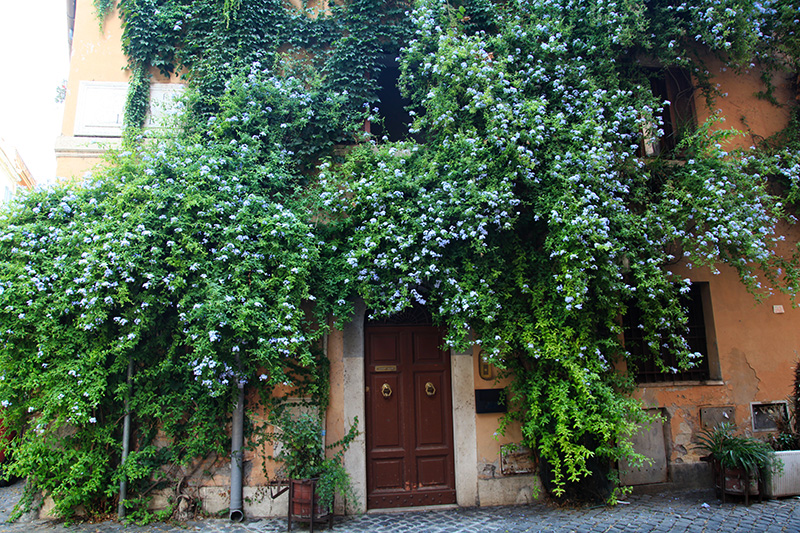 Rome in August – Weather, Holidays & Things to Do