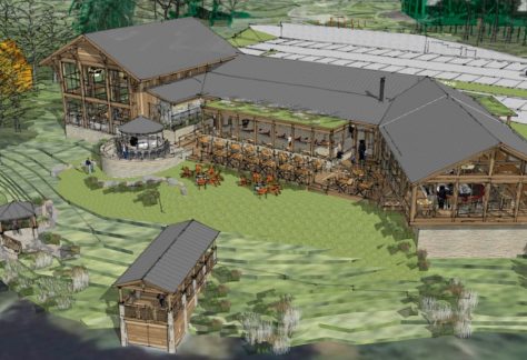 New Wisconsin Dells resort will include ‘treehouses,’ supper club