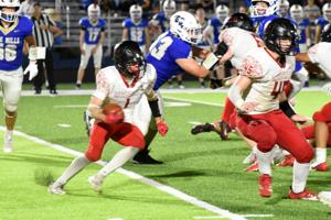 Cardinals rebound, put scare into L-Cats