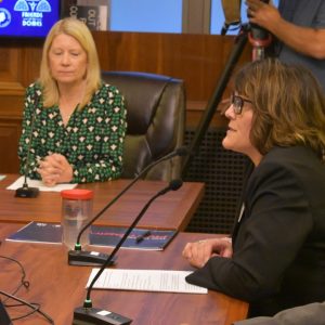 Friends of the Domes pitch 4 million renovation plan for Mitchell Park Domes