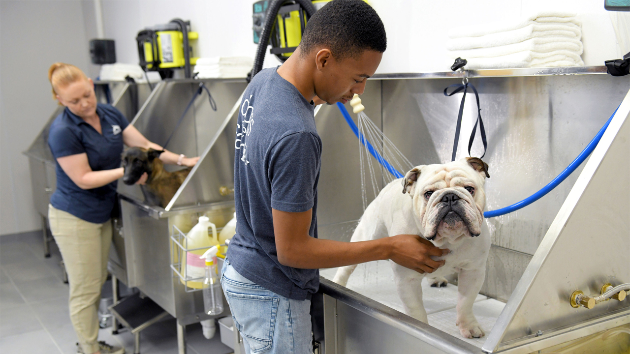 🔒 The Franchisee: Riley Scharnek