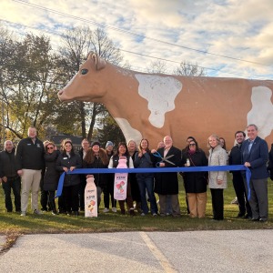 🔒 Lifeway Foods begins next phase of  million expansion project in Waukesha