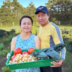 New Hunger Task Force program aims to stabilize both pantry shelves and farm revenue